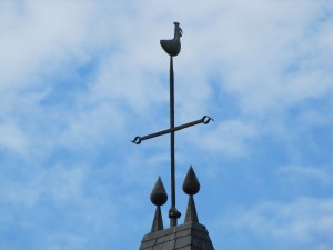 Perdit au fil du temps son plumage. 