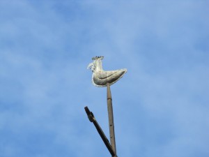 "Hé ! Bonjour, Maître Coq. Que vous avez bien servi ! Mais que vous nous semblez fatigué ! Sans mentir, si votre âge Se rapporte à votre plumage, Il serait bienséant de quitter les parages."